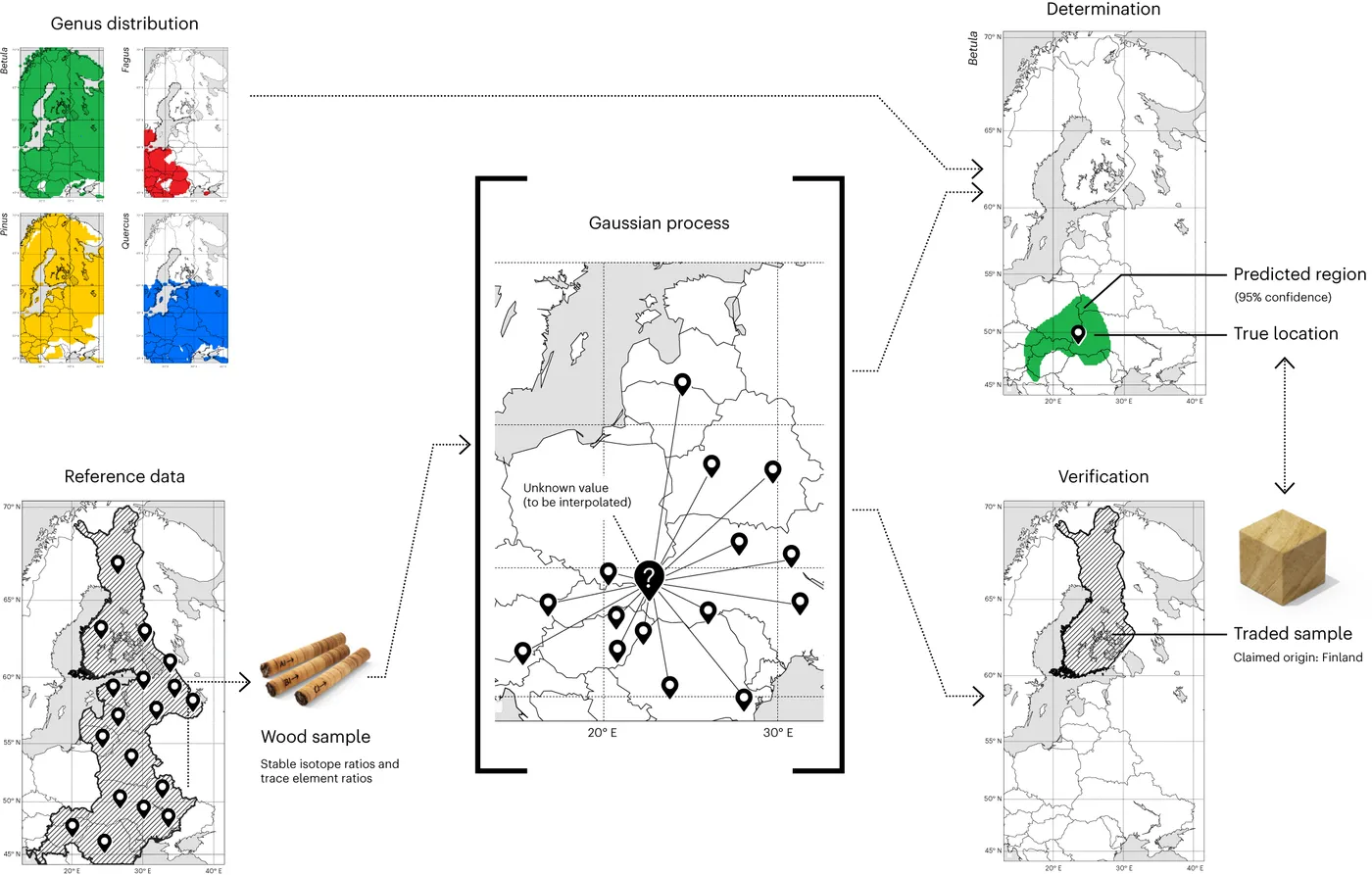 Figure from the Nature Plants publication