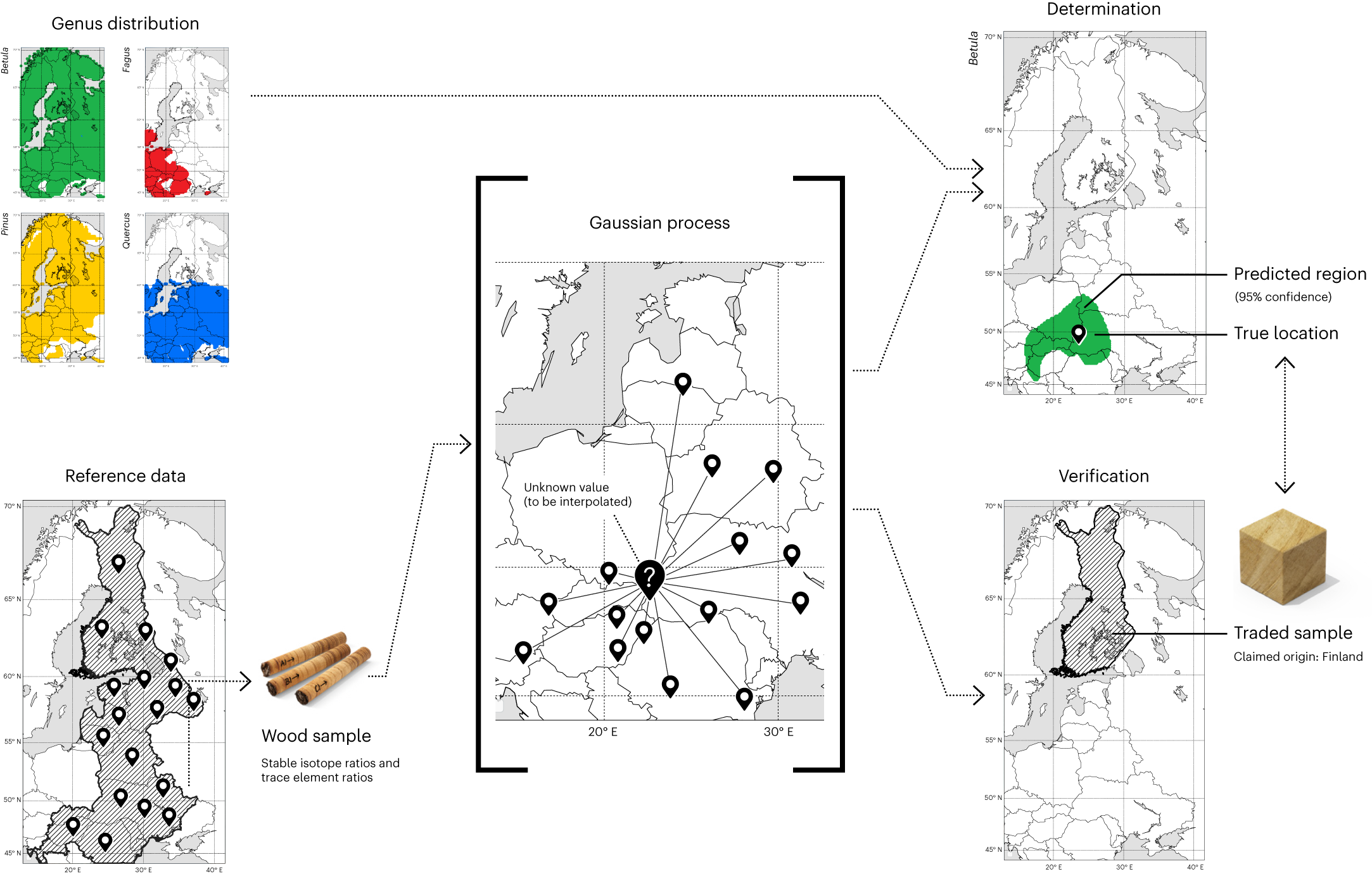 A framework for tracing timber following Ukraine invasion